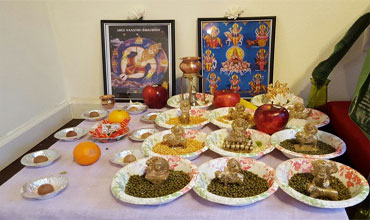 navagraha puja and homa