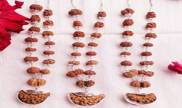 Indonesian Rudraksha Siddha Mala